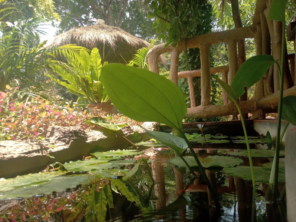 Sigiriya Nature View Home Stay Εξωτερικό φωτογραφία