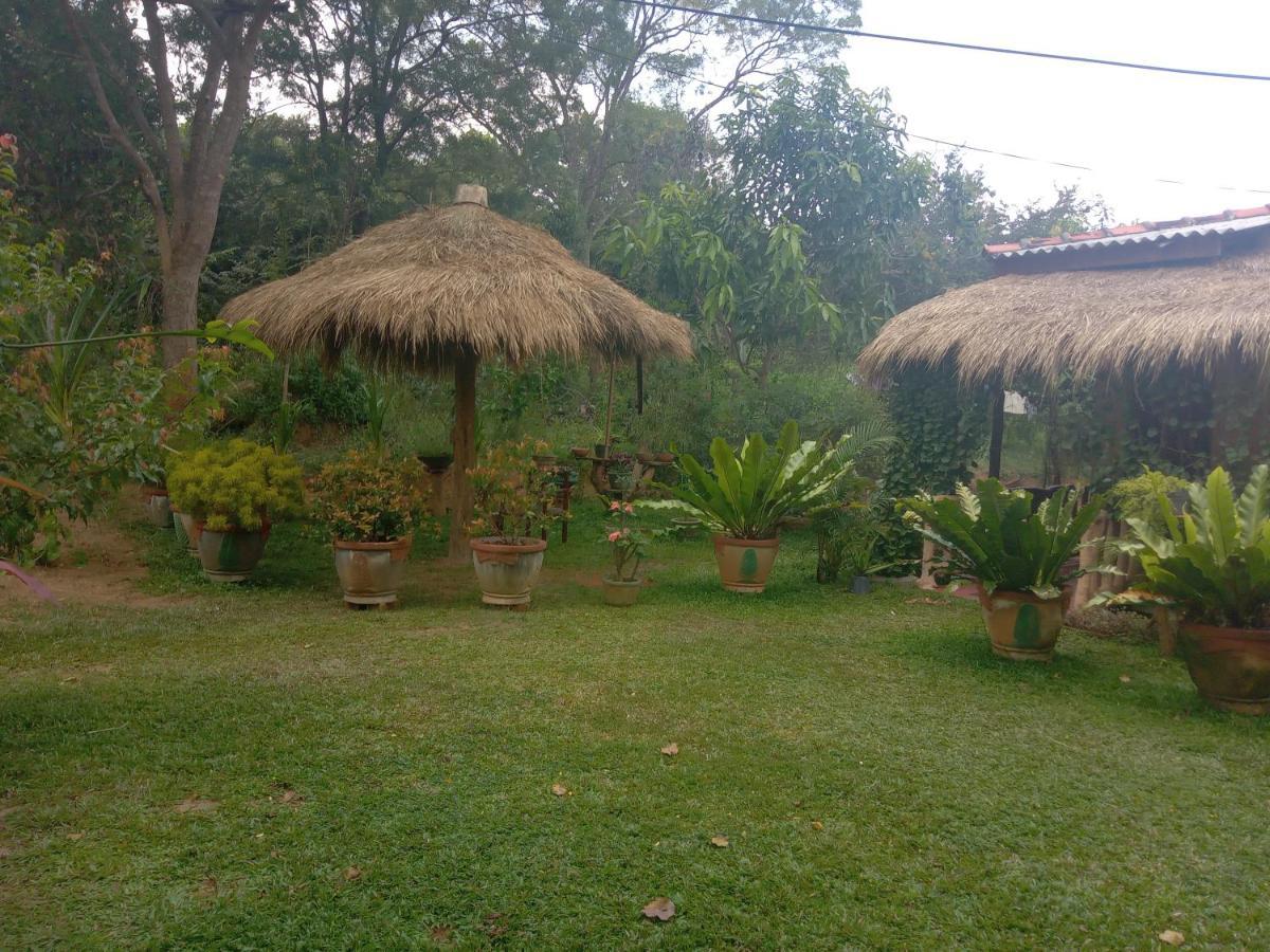 Sigiriya Nature View Home Stay Εξωτερικό φωτογραφία