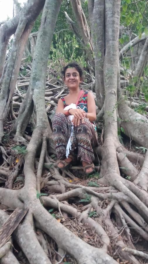 Sigiriya Nature View Home Stay Εξωτερικό φωτογραφία
