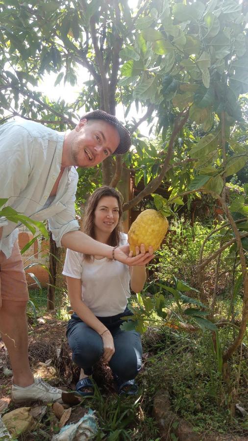 Sigiriya Nature View Home Stay Εξωτερικό φωτογραφία