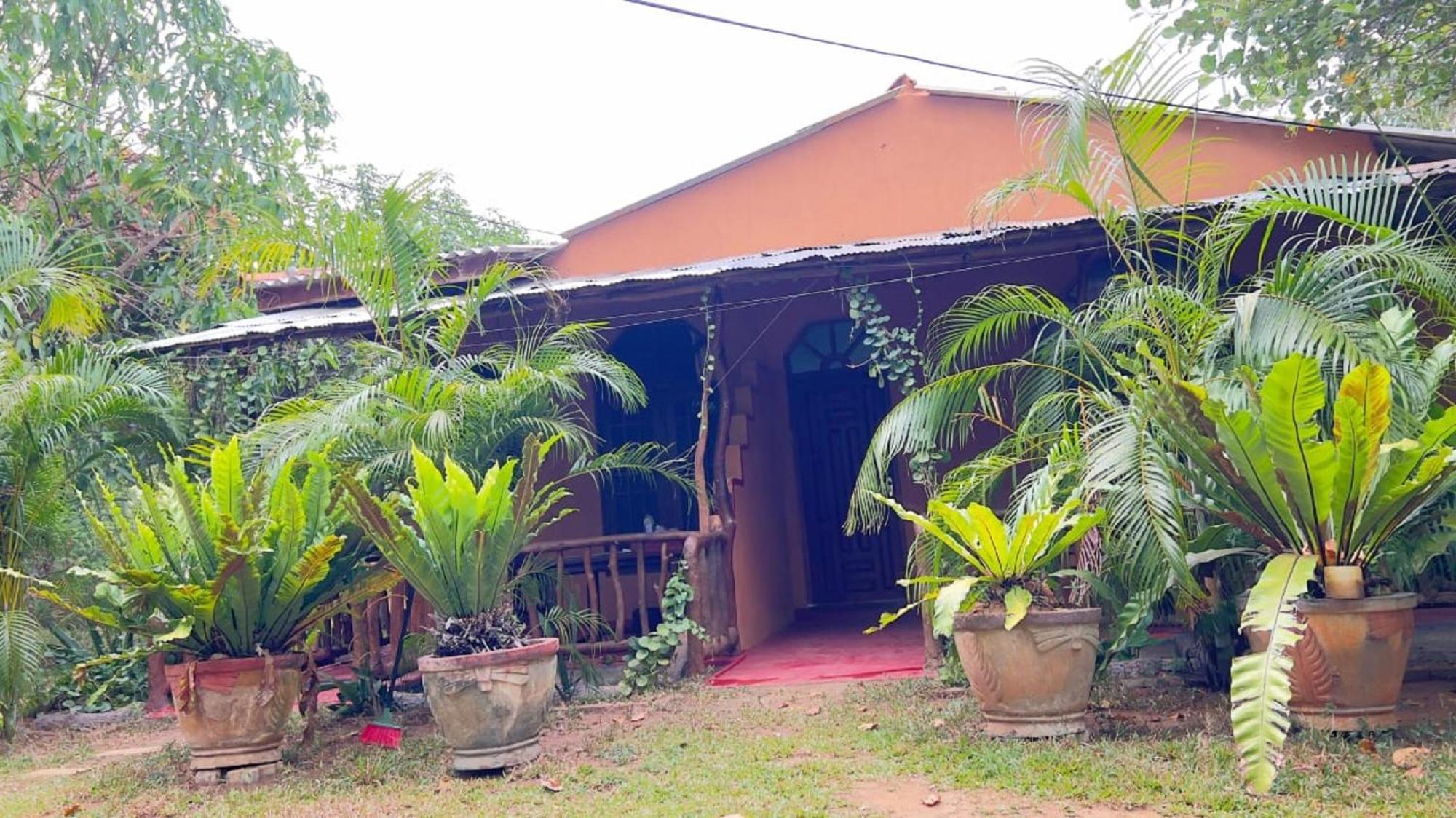 Sigiriya Nature View Home Stay Εξωτερικό φωτογραφία